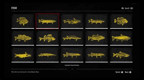 rdr2 fish|rdr2 fish compendium list.